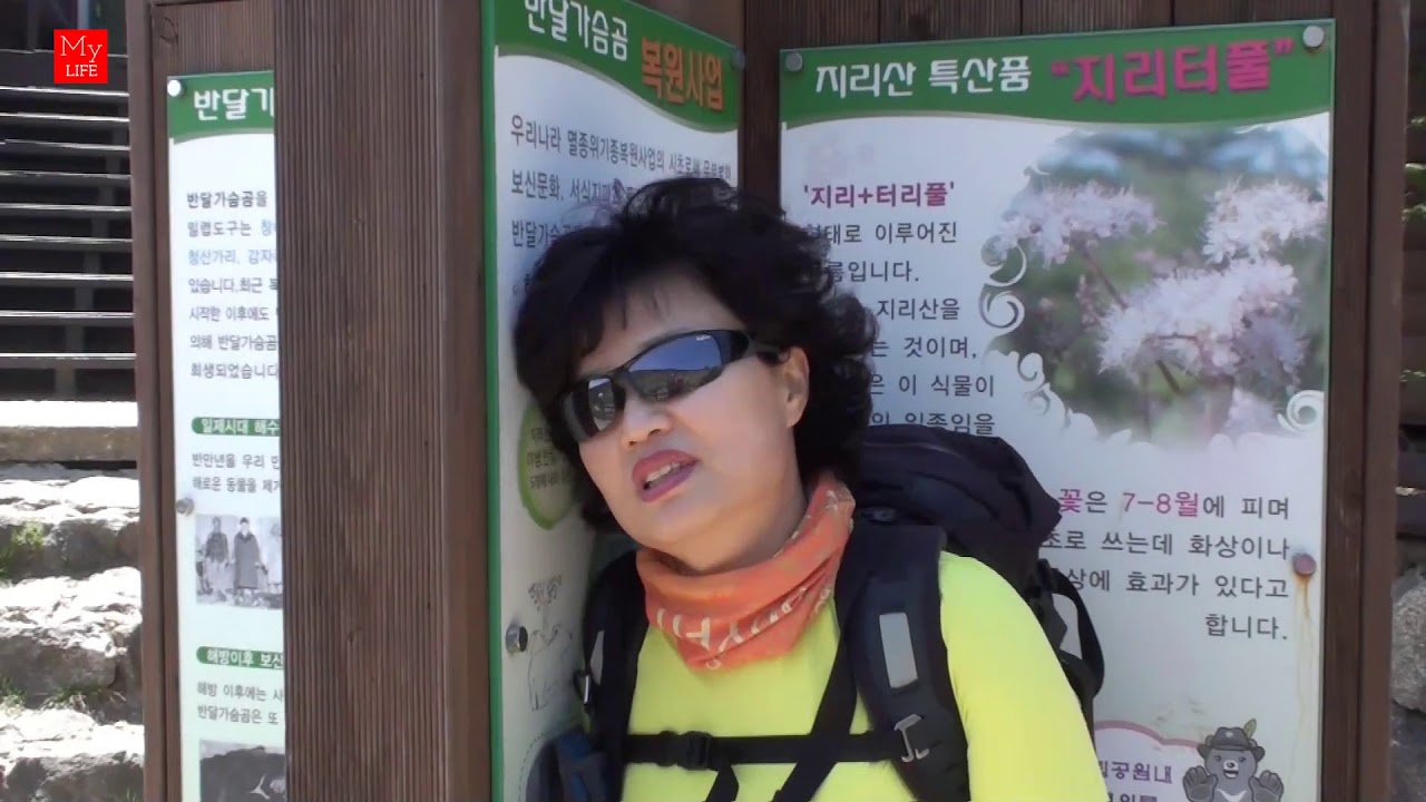 유난히 힘들어했던 /한신계곡/Hanshin valley korea