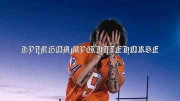 $LIM GUCCI - DYINGONMYWHITEHORSE (OFFICIAL MUSIC VIDEO)