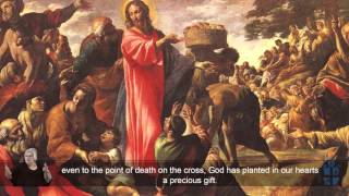 2015 Christmas Message of Archbishop Timothy Costelloe
