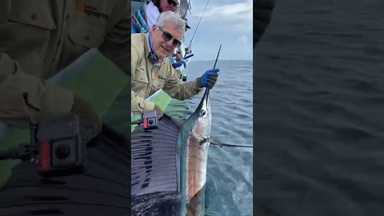 A beauty for Shane while he was sailfishing in Kuala Rompin Malaysia