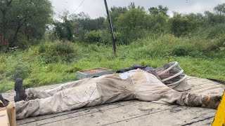 Just Another Day Pulling Honey