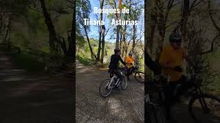 Bosques de Tiñana - Asturias #SHORTS