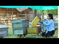 Honey it is very tasty - Cooking honey with chicken in my homeland - Polin Lifestyle