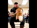 Try not to cry watching this adoption. 💔➡️❤️ #dogadoption #dogschoosetheirhumans #dogs #dogshelter