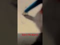 How to draw a cute cat #funny