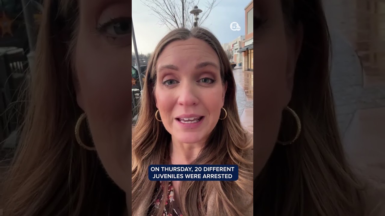 Chaos at Summit Mall was an 'orchestrated event'