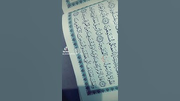 قال ألم نربك فينا وليدا    #سورة_الشعراء #قرآن_كريم