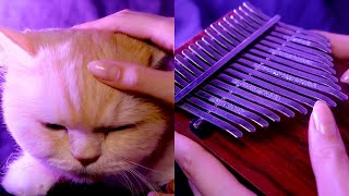 Melody of the night, The Piano Forest - Kalimba cover.