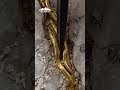 A Gold Vein Flows Through Quartz, Revealing Nature’s Hidden Masterpiece 💛⛏️