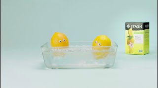 Stash Tea | Meyer Lemon: Marco Polo screenshot 2