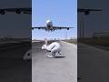 Crazy Rabbit Unexpectedly Comes On Active Runway As Airplane Ragdoll Gtav