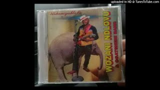 Wozani Ndlovu & Ogatsheni band - Inkomiyahlaba (cds available)