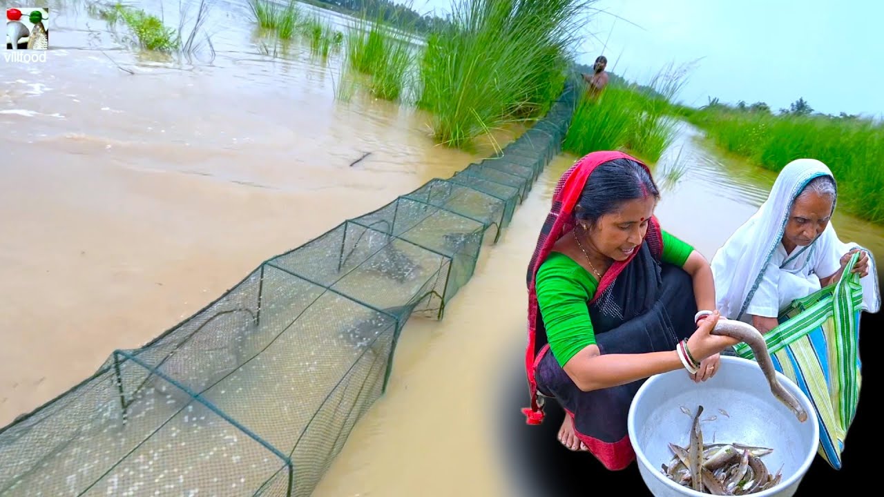 ঘুগু জাল দিয়ে নদী থেকে মাছ ধরে মায়ের হাতে রান্না | River fishing and cooking video | villfood
