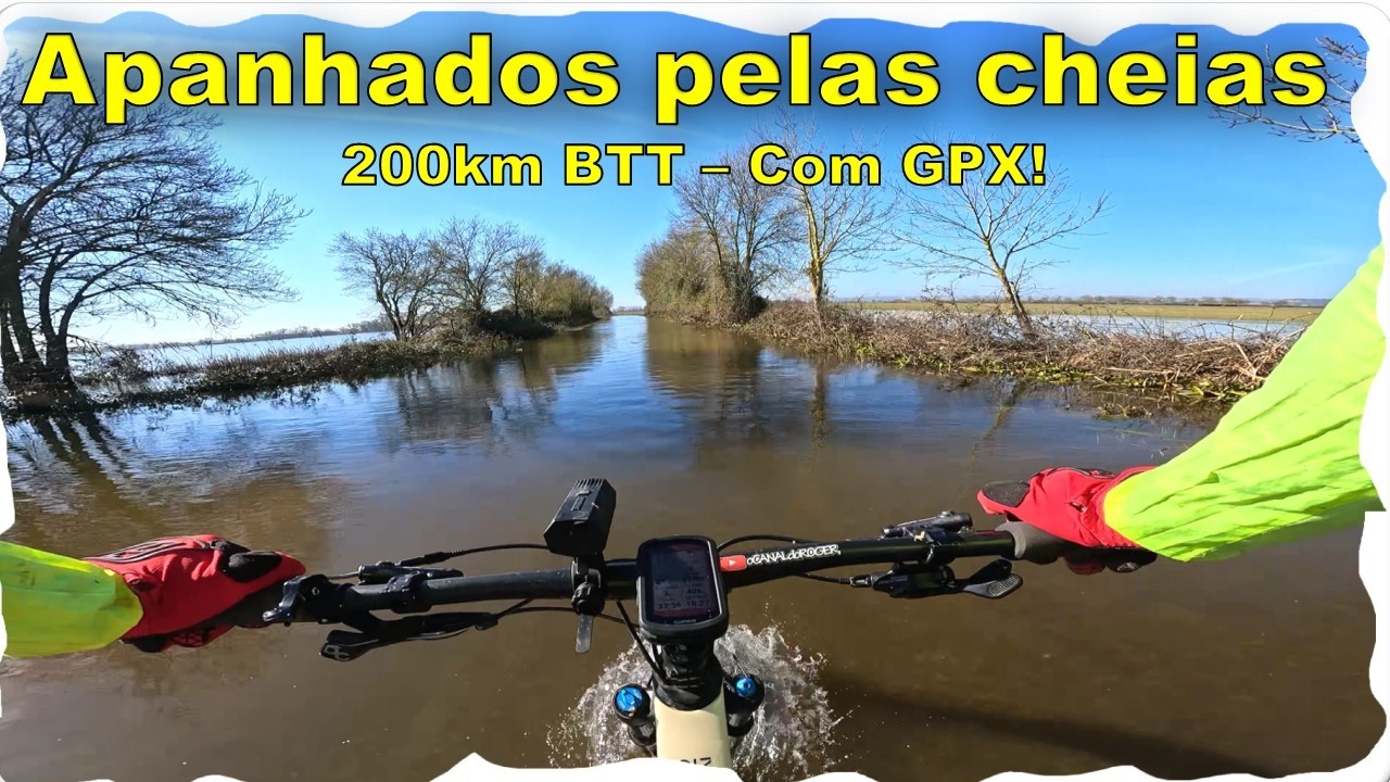 Tudo por uma Bifana...