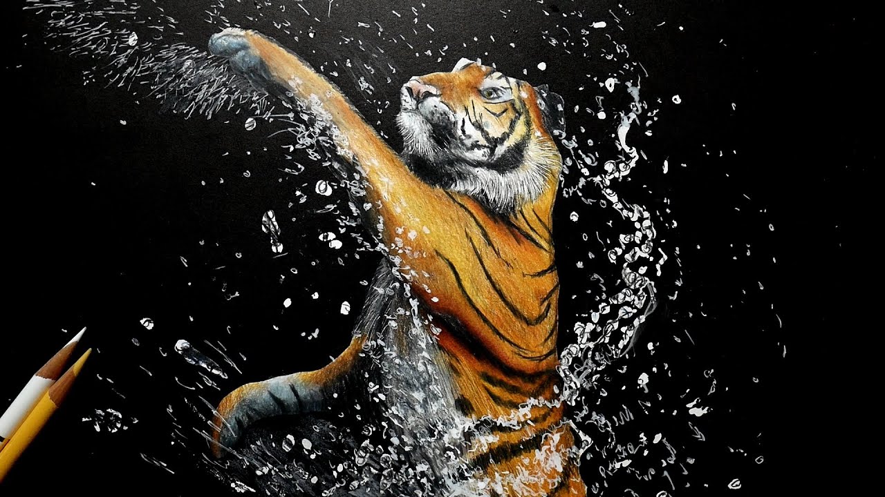 色鉛筆で虎を描いてみた 水しぶき編 Colored Pencil Drawing Of A Tiger Splashing In Water Youtube