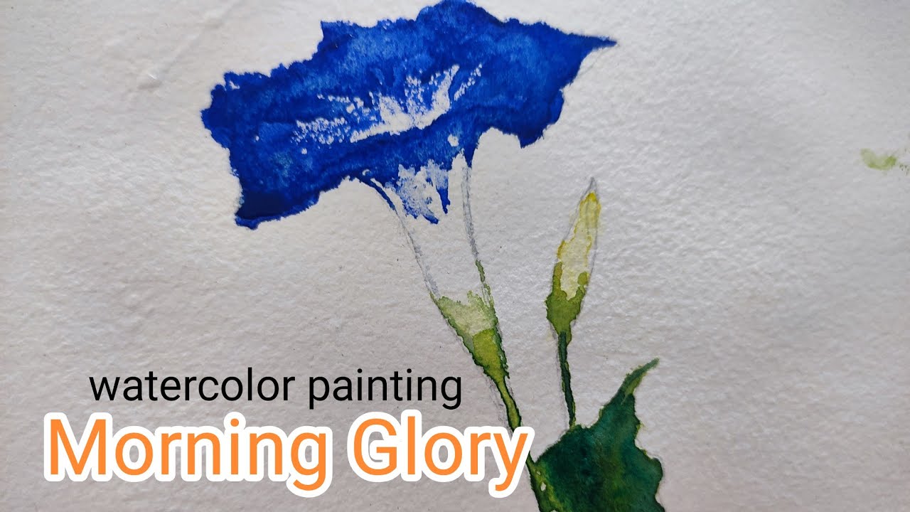 Watercolor painting/ morning Glory watercolor painting/full vedio/ for