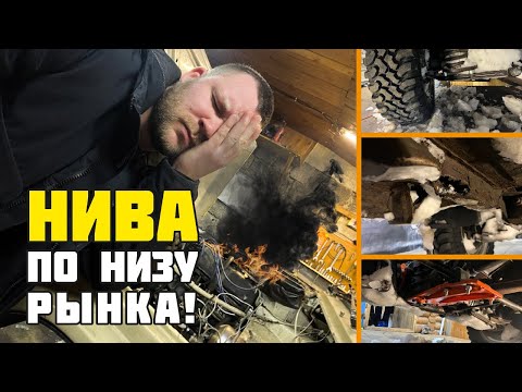 НИВА ПО НИЗУ РЫНКА! Стоит ли брать?