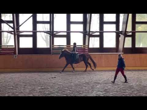 2020 winter season open!!! 💕Chantulis💕🐎My first training in Rodeo Club💕🐎