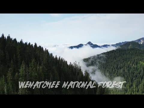 Videó: Vadásszhat a wenatchee nemzeti erdőben?