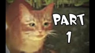 Catanna Seimeow on the Move | Stray part 1