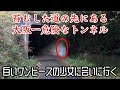 大阪一危険なトンネルで佇む白いワンピースの少女に一目惚れ。A girl in a white dress stands in the most dangerous tunnel in Osaka.