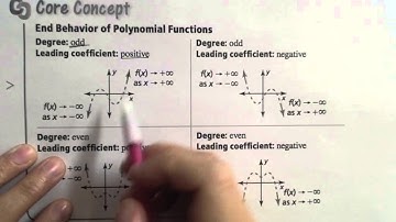 Section 4.1 Notes: Polynomial Functions