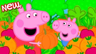 Peppa Pig Tales  Peppas Fruit And Vegetable Hunt  Peppa Pig Episodes