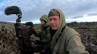 ARCTIC FOX ENCOUNTERS | Wildlife Photography - Ep.1