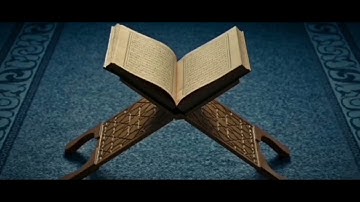 وكذلك نفصل الآيات ولتستبين سبيل المجرمين (55) الأنعام