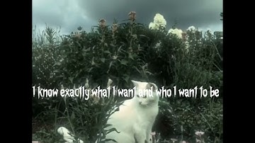 (oh no) speed up with lyrics