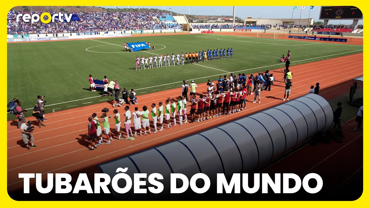 Reportv: Tubarões do Mundo | sport tv