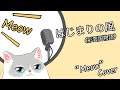 平原綾香 Ayaka Hirahara - はじまりの風 Hajimari no Kaze (彩雲国物語 The Story of Saiunkoku)【"Meow" cover】