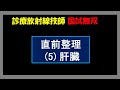 【診療放射線技師国家試験】 直前確認 (5) 肝臓