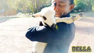 Raised On The West Side Travel Vids