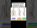Escoliosis, Cifosis y Lordosis #medicina #fisioterapia #huesos #columna
