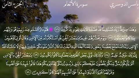 تلاوة خاااشعة للقارئ ياسر الدوسري {يا معشر الجن و الإنس ألم يأتكم رسل منكم يقصون عليكم اياتي}