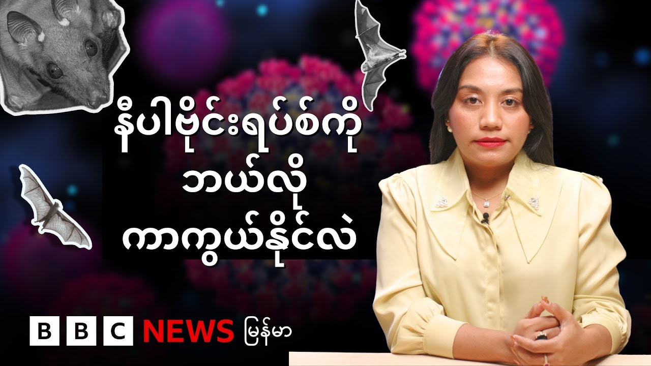 နီပါဗိုင်းရပ်စ်ကို ဘယ်လိုကာကွယ်နိုင်လဲ - BBC News မြန်မာ