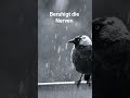 #beruhigendemusik