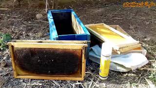 how to prepare a bee trap/طريقة صنع مصيدة النحل