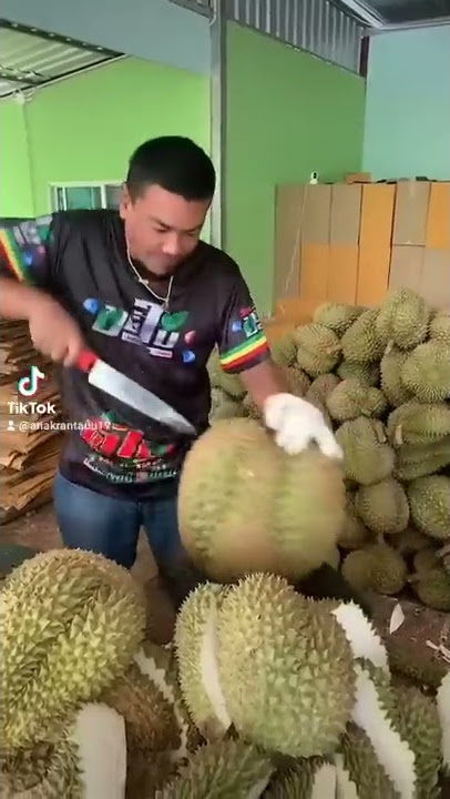 Wooow durian jumbo nih gaesss... 🔥🔥🔥 #durian #durianmontong #duriantraveler