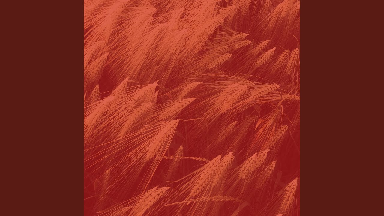 Cultured Oil Massage