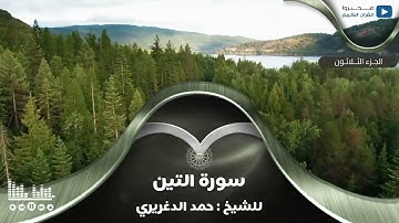 سورة التين للشيخ : حمد الدغريري