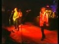Capture de la vidéo Dire Straits - "Rock Werchter Festival" 1981 (Re-Issued) From Dvd