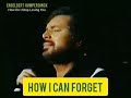 Engebert Humperdinck - How Do I Stop Loving You (Live &amp; Lyrics)