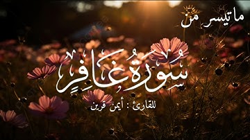ماتيسر من سورة غافر القارئ أيمن قرين