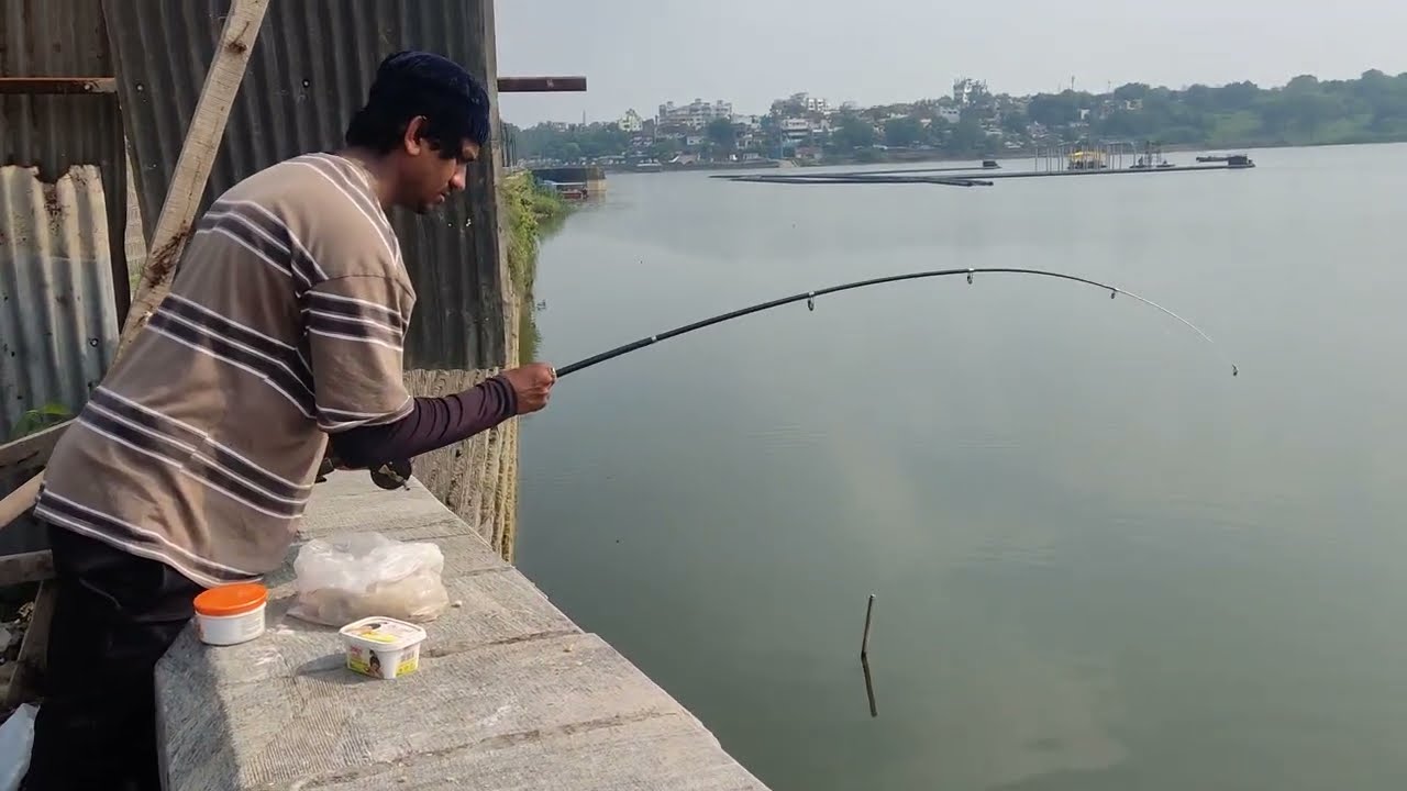 big rohu fishing | rahu fishing video | how to catch fish | hook fishing