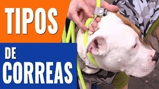 CÓMO ELEGIR CORREA PARA TU PERRO/TIPOS DE CORREAS PARA PERROS