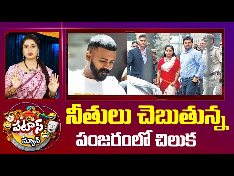 నీతులు చెబుతున్న పంజరంలో చిలుక | Sukesh Chandrasekahr | MLC kavitha | Patas News | 10TV - 10TVNEWSTELUGU