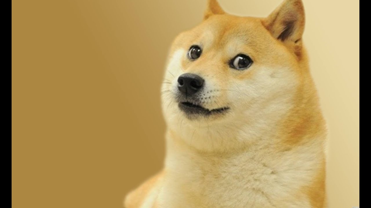 На машине конечно