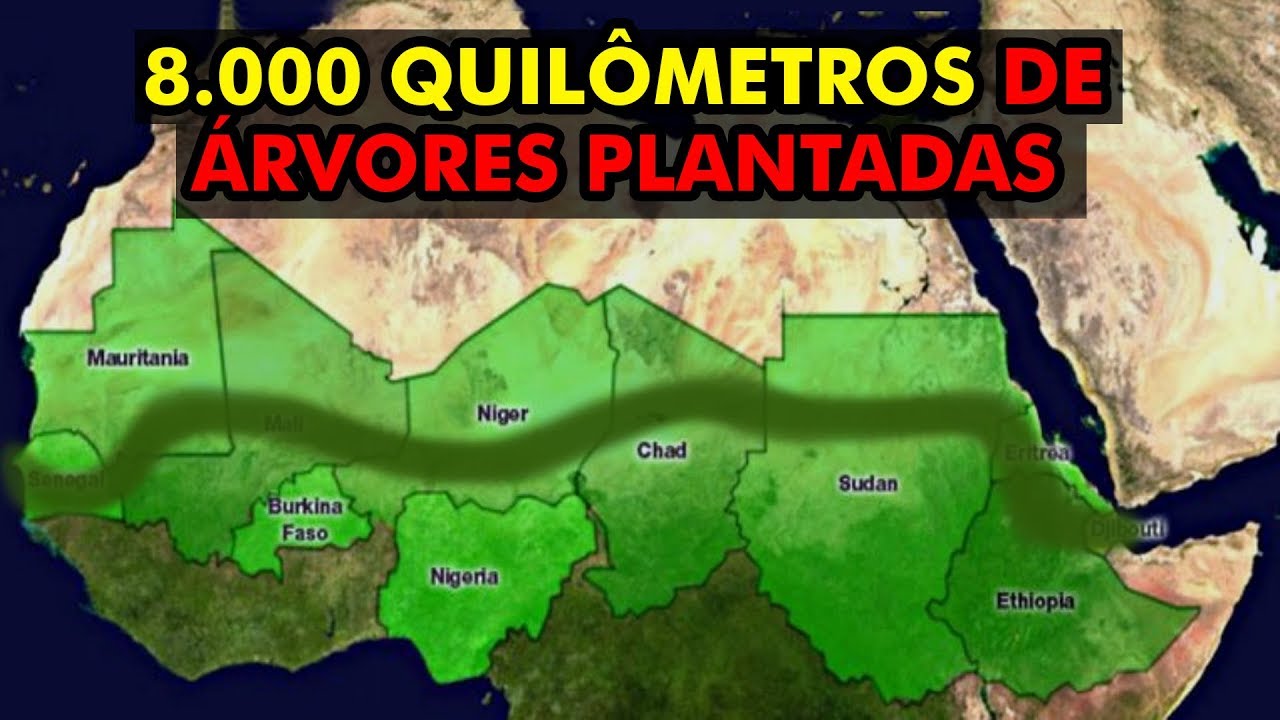 AS CONSEQUÊNCIAS DA “GRANDE MURALHA VERDE” DA ÁFRICA